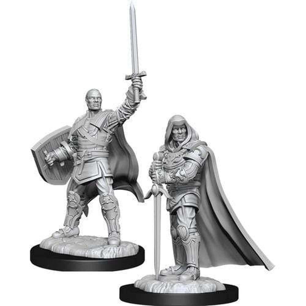 D&D Nolzur's Marvelous Unpainted Miniatures: Wave 13: Human Paladin Male