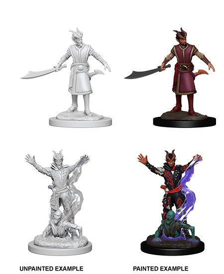 D&D Nolzur's Marvelous Unpainted Miniatures: Wave 6: Tiefling Male Warlock