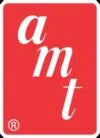 AMT Plastic Model Kit
