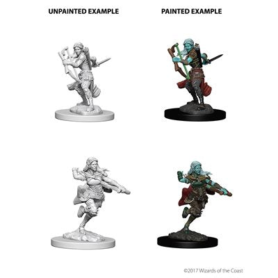 D&D Nolzur's Marvelous Unpainted Miniatures: Wave 4: Air Genasi Female Rogue