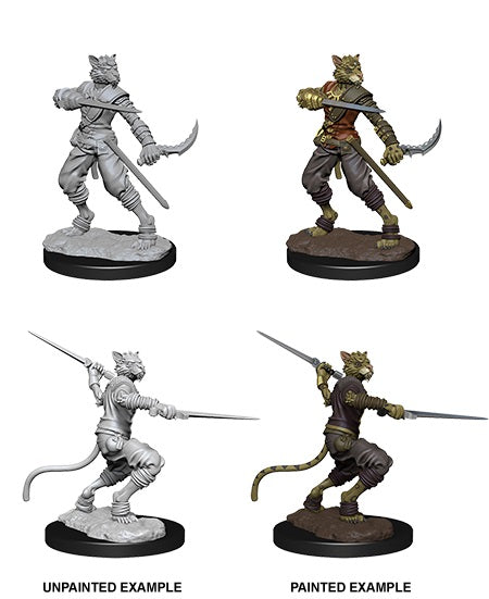 D&D Nolzur's Marvelous Unpainted Miniatures: Wave 7: Male Tabaxi Rogue