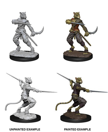 D&D Nolzur's Marvelous Unpainted Miniatures: Wave 7: Male Tabaxi Rogue