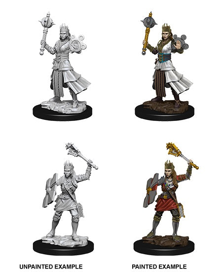 D&D Nolzur's Marvelous Unpainted Miniatures: Wave 8: Human Female Cleric
