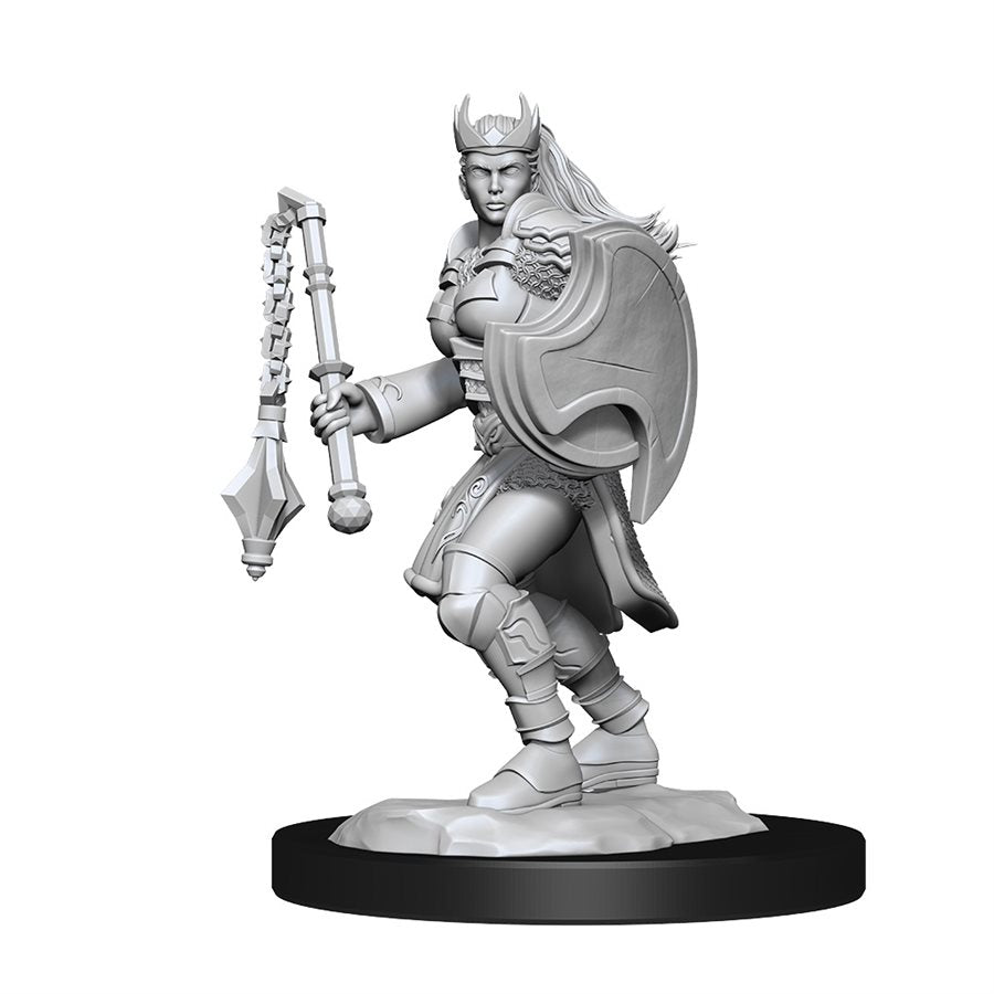 D&D Nolzur's Marvelous Unpainted Miniatures: Wave 14: Kalashtar Cleric  Female