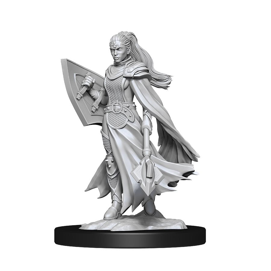 D&D Nolzur's Marvelous Unpainted Miniatures: Wave 14: Kalashtar Cleric  Female