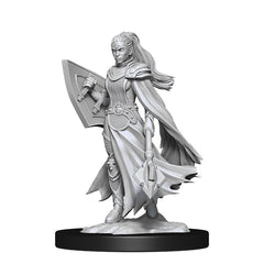 D&D Nolzur's Marvelous Unpainted Miniatures: Wave 14: Kalashtar Cleric  Female