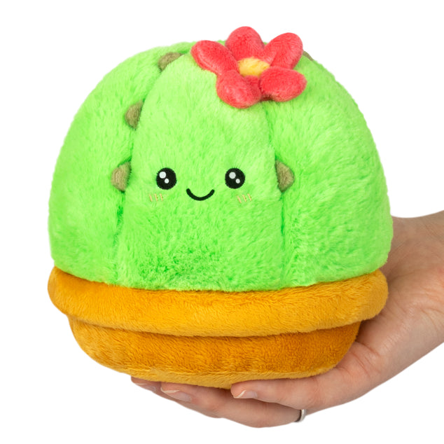 Snackers Cactus