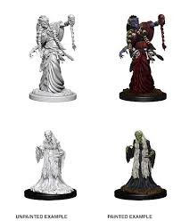 DND UNPAINTED MINIS WV6 GREEN HAG/NIGHT HAG