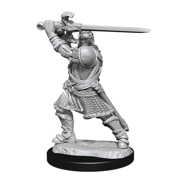 DND UNPAINTED MINIS WV14 HUMAN PALADIN MALE