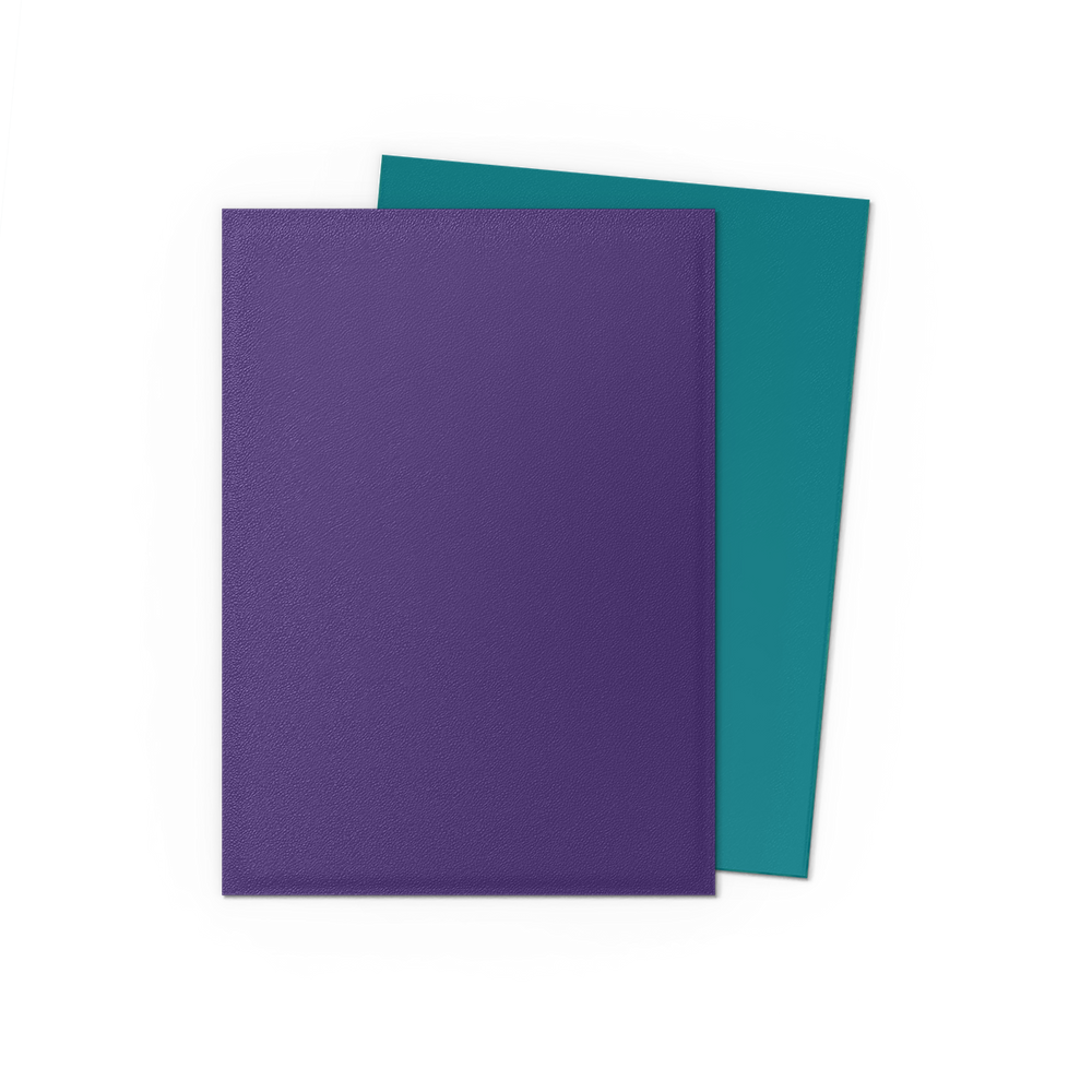 Dragon Shield DUAL Matte Sleeves (100ct)