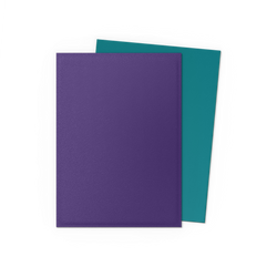 Dragon Shield DUAL Matte Sleeves (100ct)