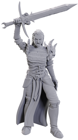 DND UNPAINTED MINIS WV25 BLACKGUARD