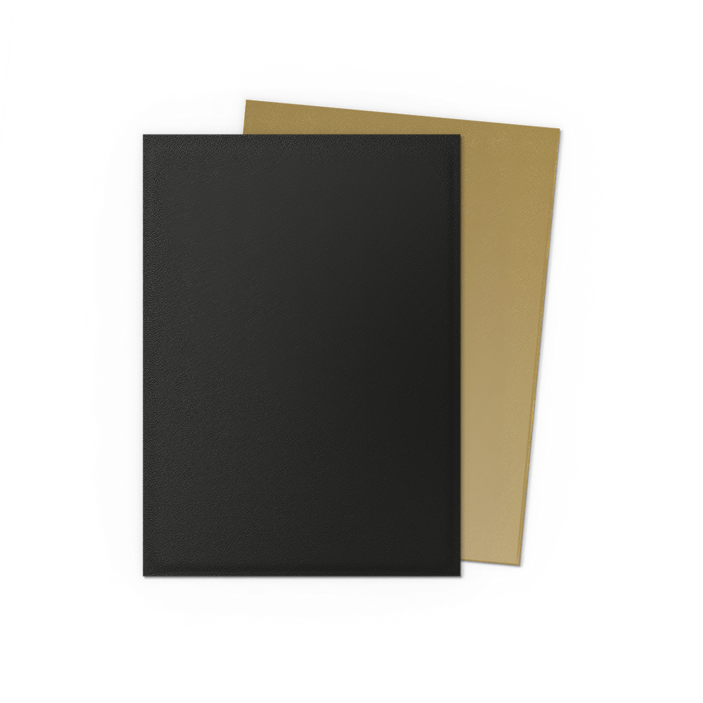 Dragon Shield DUAL Matte Sleeves (100ct)