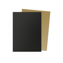 Dragon Shield DUAL Matte Sleeves (100ct)