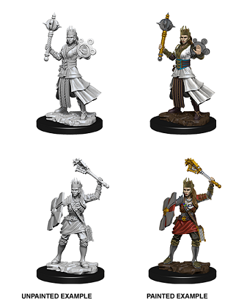 DND UNPAINTED MINIS WV8 FEMALE HUMAN CLERIC
