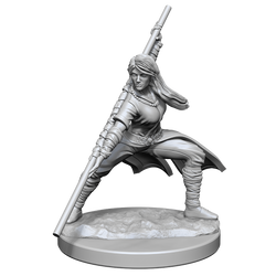 DND UNPAINTED MINIS WV14 HUMAN MONK FEMALE