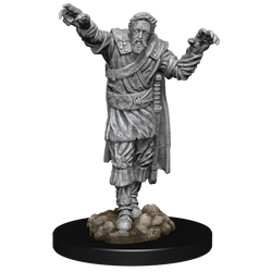 DND UNPAINTED MINIS WV14 SCARECROW/STONE CURSED