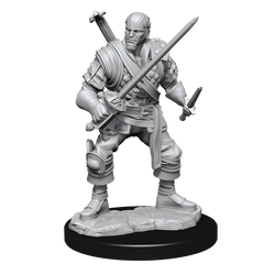 DND UNPAINTED MINIS WV15 HUMAN BARD MALE
