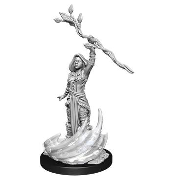 DND UNPAINTED MINIS WV14 HUMAN DRUID FEMALE