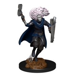 DND UNPAINTED MINIS WV14 CHANGELING CLERIC MALE