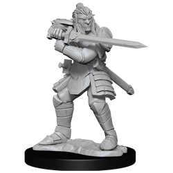 DND UNPAINTED MINIS WV15 HOBGOBLIN MALE AND FEMALE