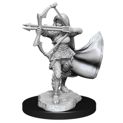 DND UNPAINTED MINIS WV15 AIR GENASI FEMALE