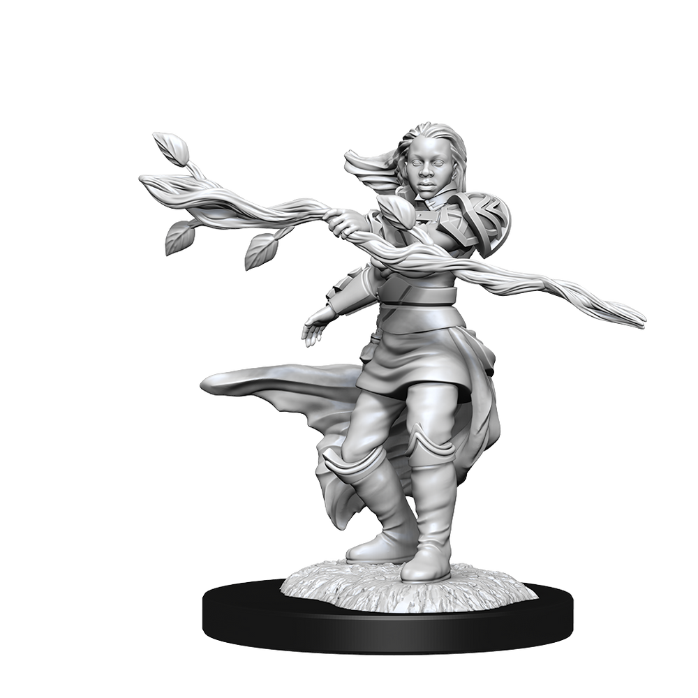 DND UNPAINTED MINIS WV14 HUMAN DRUID FEMALE