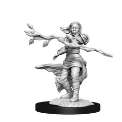 DND UNPAINTED MINIS WV14 HUMAN DRUID FEMALE