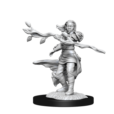 DND UNPAINTED MINIS WV14 HUMAN DRUID FEMALE