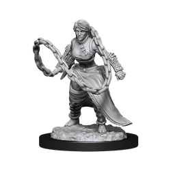 DND UNPAINTED MINIS WV14 HUMAN MONK FEMALE