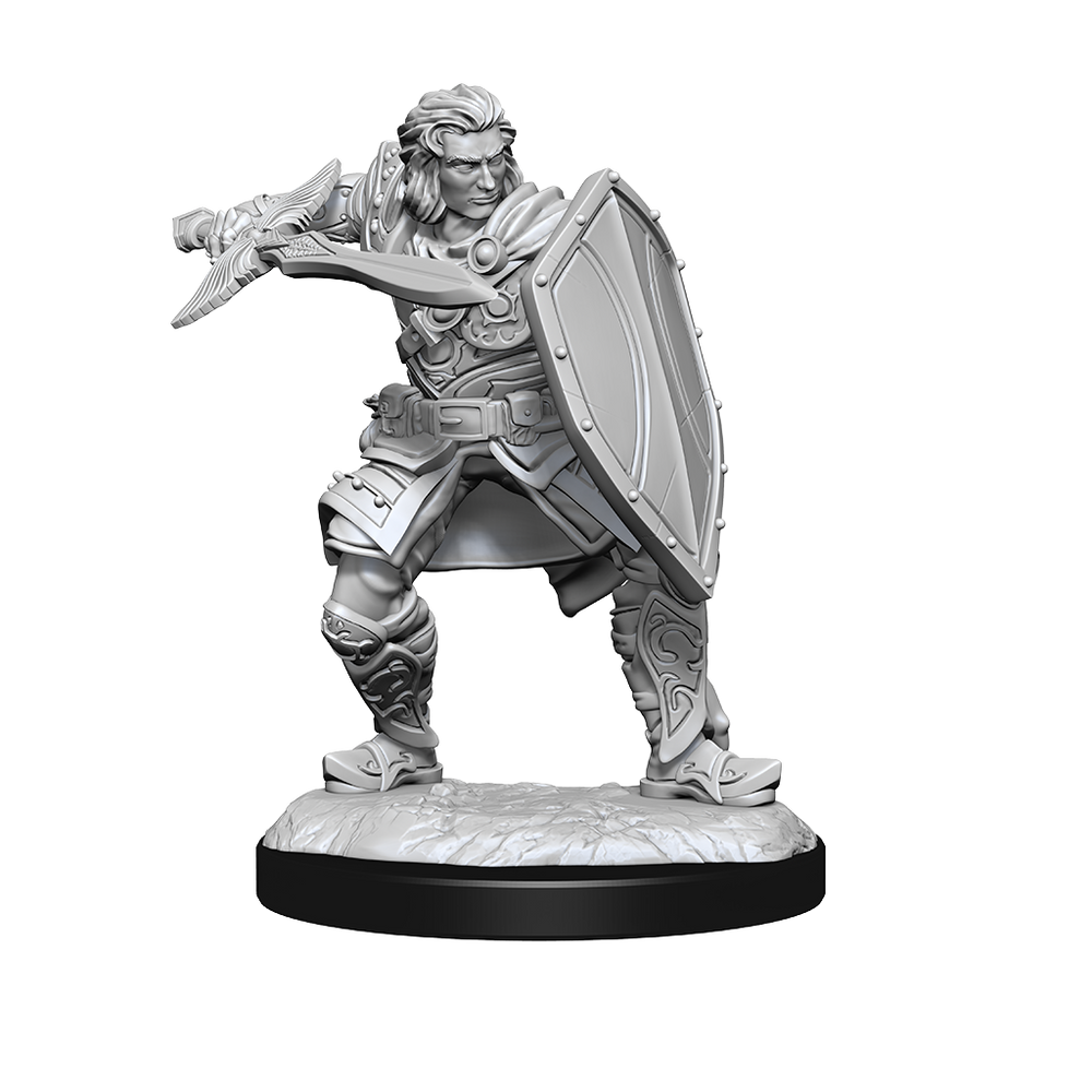 DND UNPAINTED MINIS WV14 HUMAN PALADIN MALE
