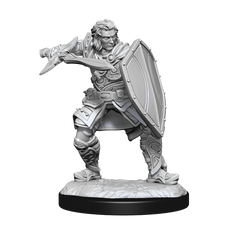 DND UNPAINTED MINIS WV14 HUMAN PALADIN MALE