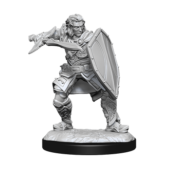 DND UNPAINTED MINIS WV14 HUMAN PALADIN MALE