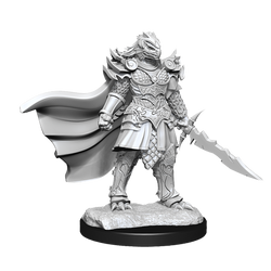 DND UNPAINTED MINIS WV15 DRAGONBORN FIGHTER FEMALE