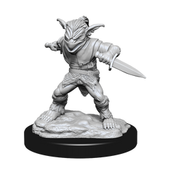 DND UNPAINTED MINIS WV15 MALE ROGUE/FEMALE BARD