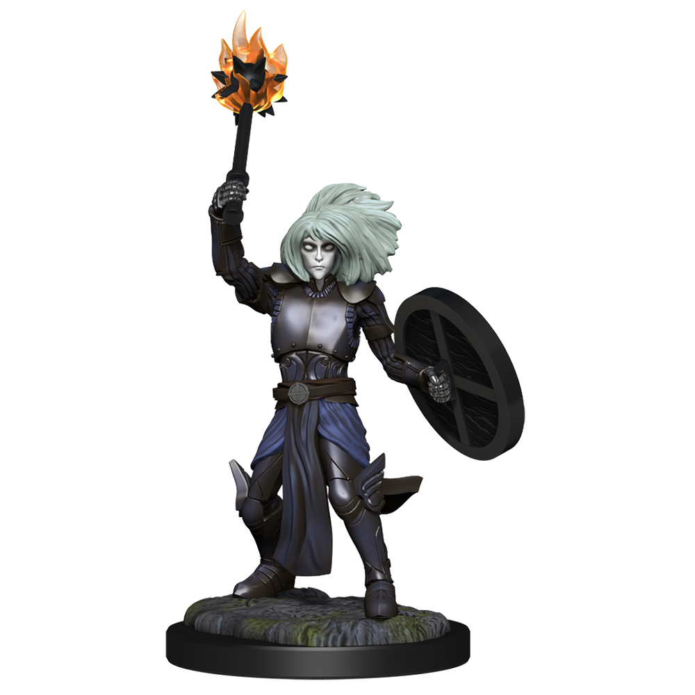 DND UNPAINTED MINIS WV14 CHANGELING CLERIC MALE