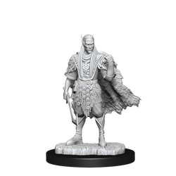 DND UNPAINTED MINIS WV15 AUTUMN AND SUMMER ELADRIN