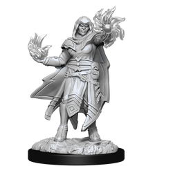 DND UNPAINTED MINIS WV15 HOBGOBLIN MALE AND FEMALE