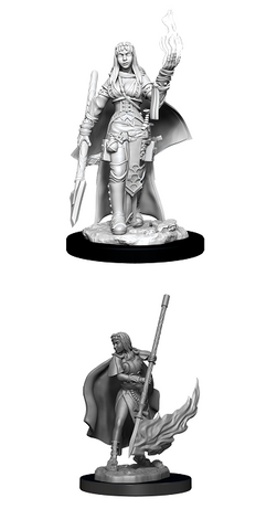 PF UNPAINTED MINIS WV11 FEMALE HUMAN ORACLE