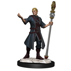 DND UNPAINTED MINIS WV14 HALF-ELF WIZARD MALE