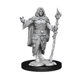 DND UNPAINTED MINIS WV14 HUMAN DRUID MALE