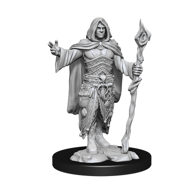 DND UNPAINTED MINIS WV14 HUMAN DRUID MALE