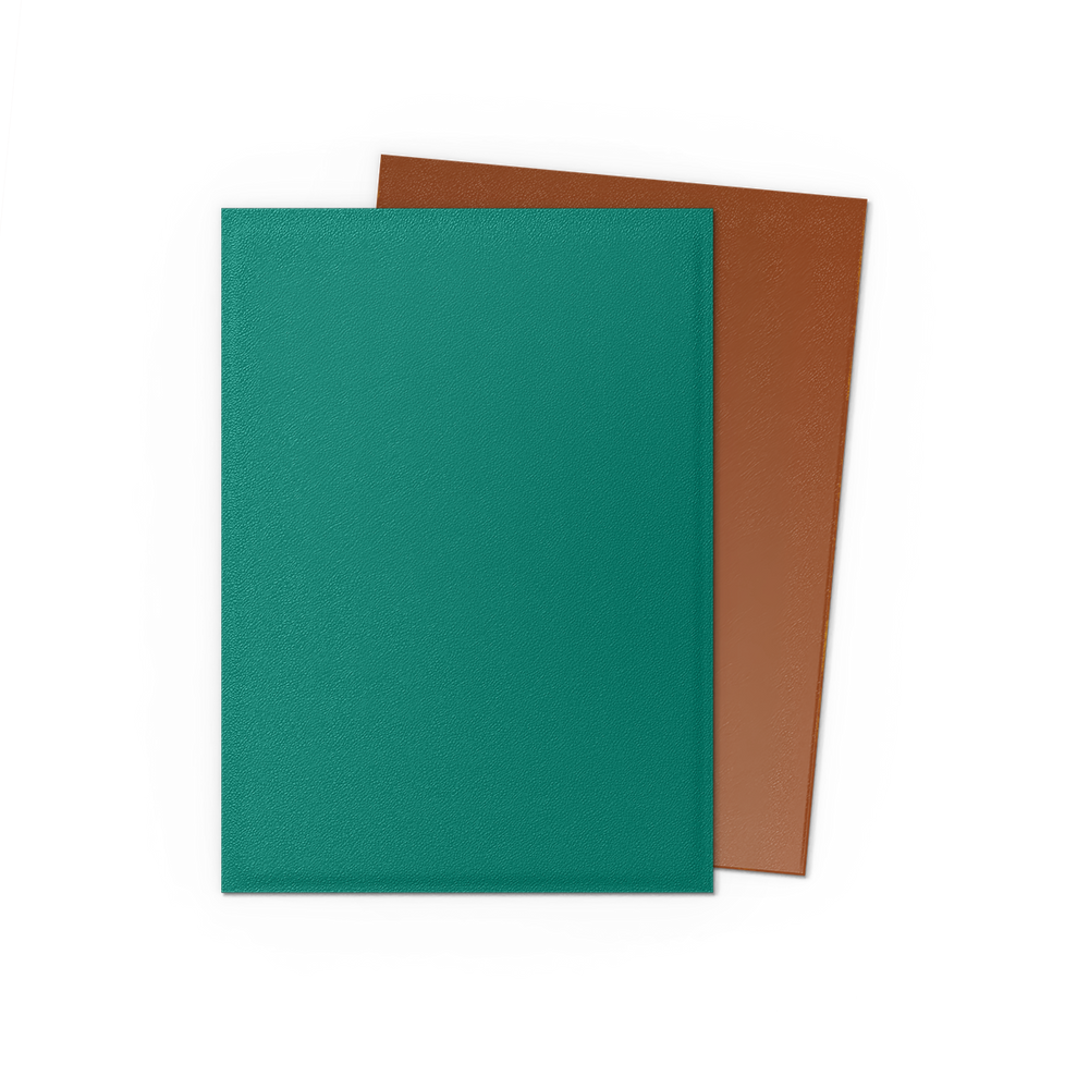 Dragon Shield DUAL Matte Sleeves (100ct)