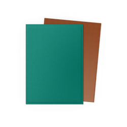 Dragon Shield DUAL Matte Sleeves (100ct)