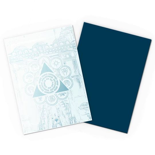 Dragon Shield DUAL Matte MTG Guildpact Sleeves (100ct)