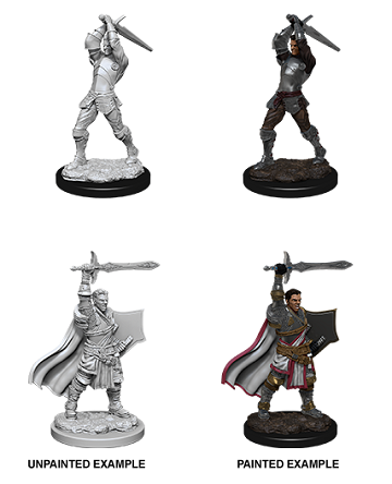 DND UNPAINTED MINIS WV12 MALE HUMAN PALADIN