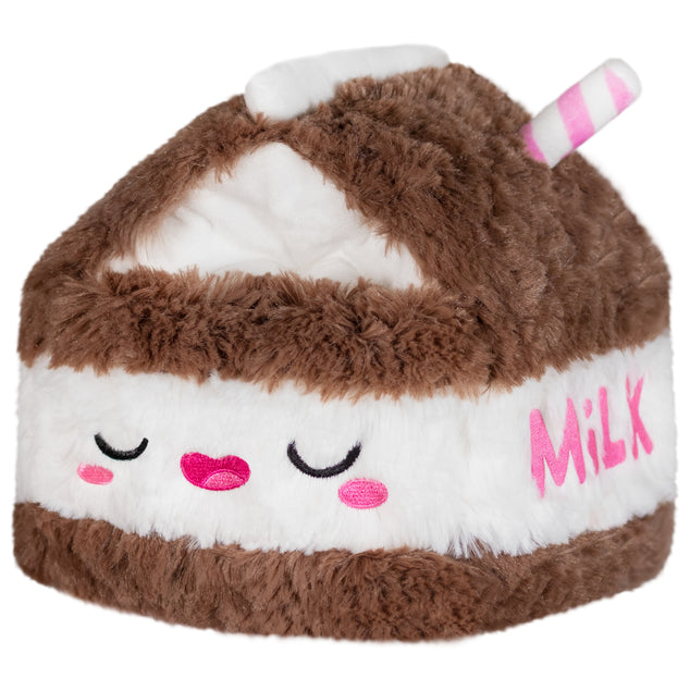Mini Chocolate Milk Carton