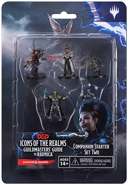 DND ICONS 10: GUILDMASTERS COMPANION STARTER 2
