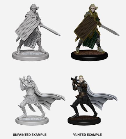 Pathfinder Deep Cuts Unpainted Miniatures: Wave 2: Elf Male Paladin