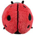 Mini Ladybug